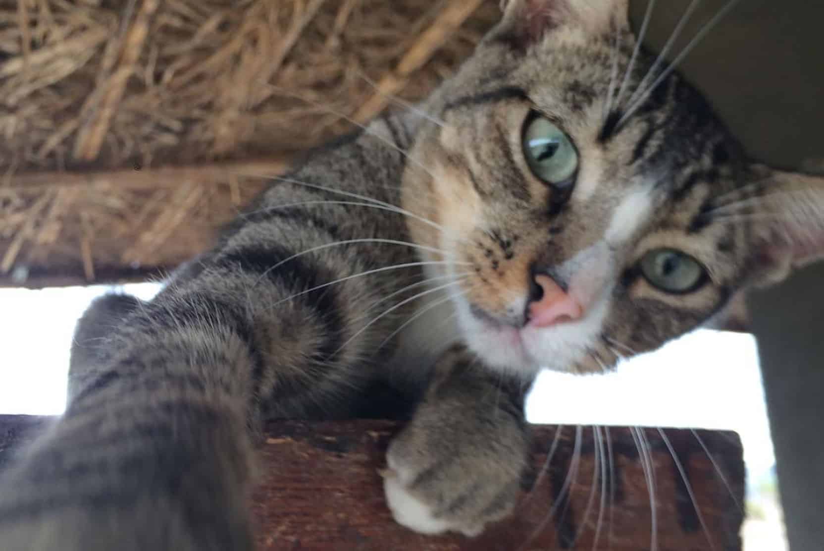 Trouble-chat