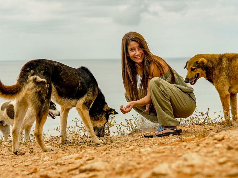 Morocco has 3 million stray dogs