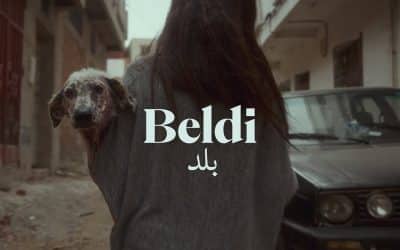 Saving The Stray Dogs Of Tanger – Beldi The Film